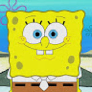 Meet your Posher, Lydia